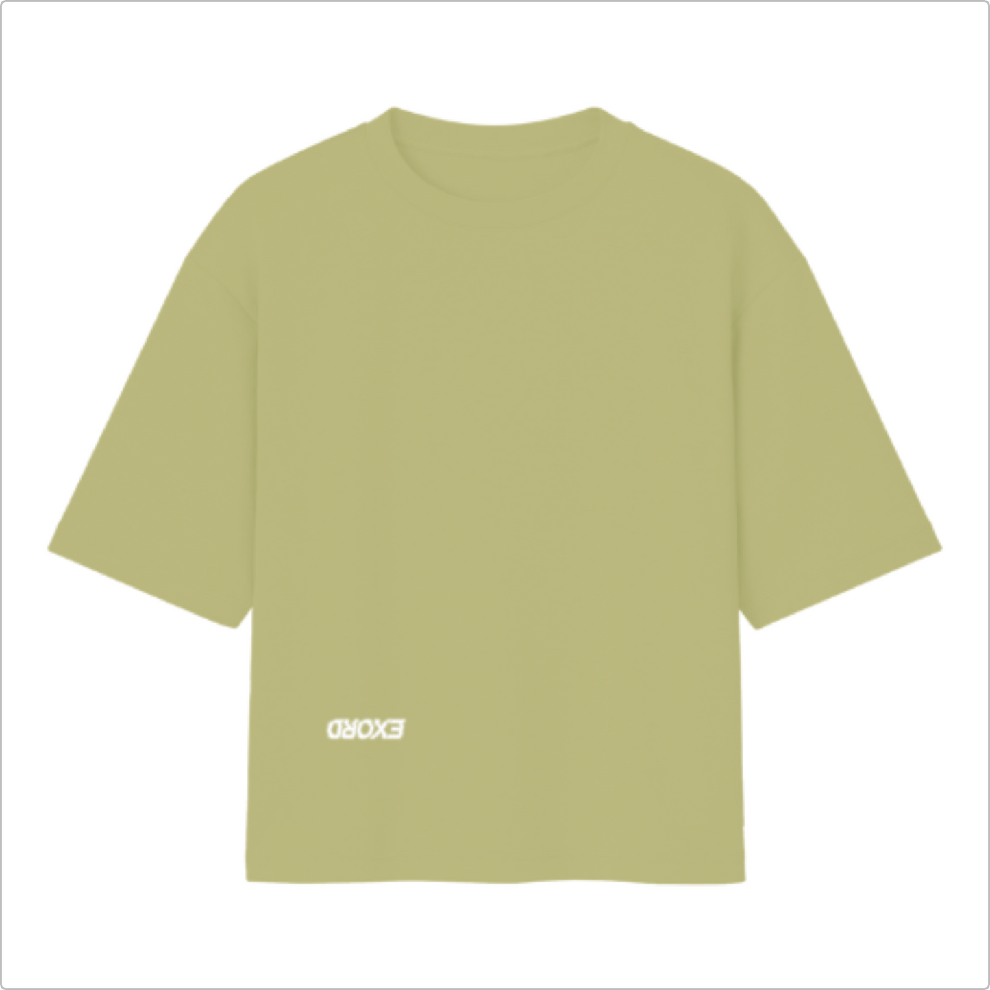 Camiseta Oversized Masculina | Coleção EXORD "Elementos Naturais Abstratos" Green